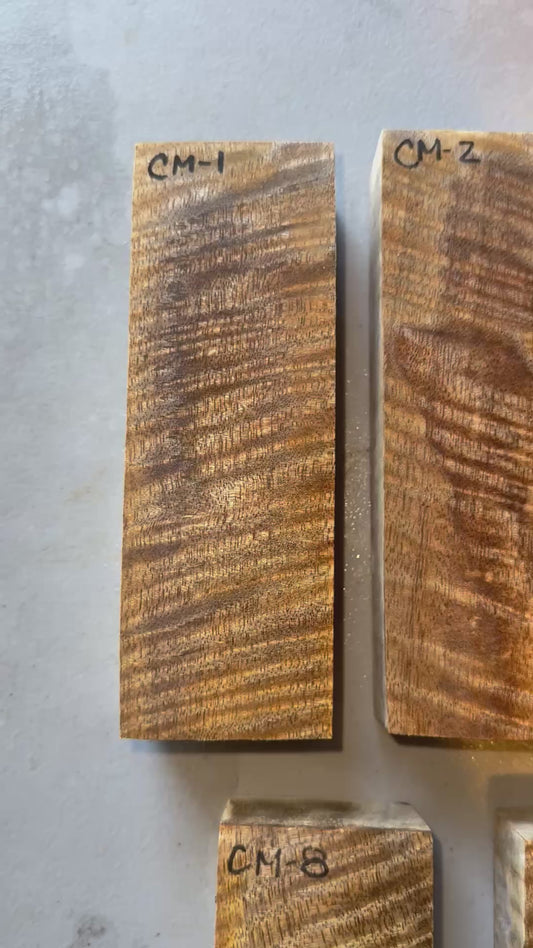 Curly Mango Blocks Stabilized