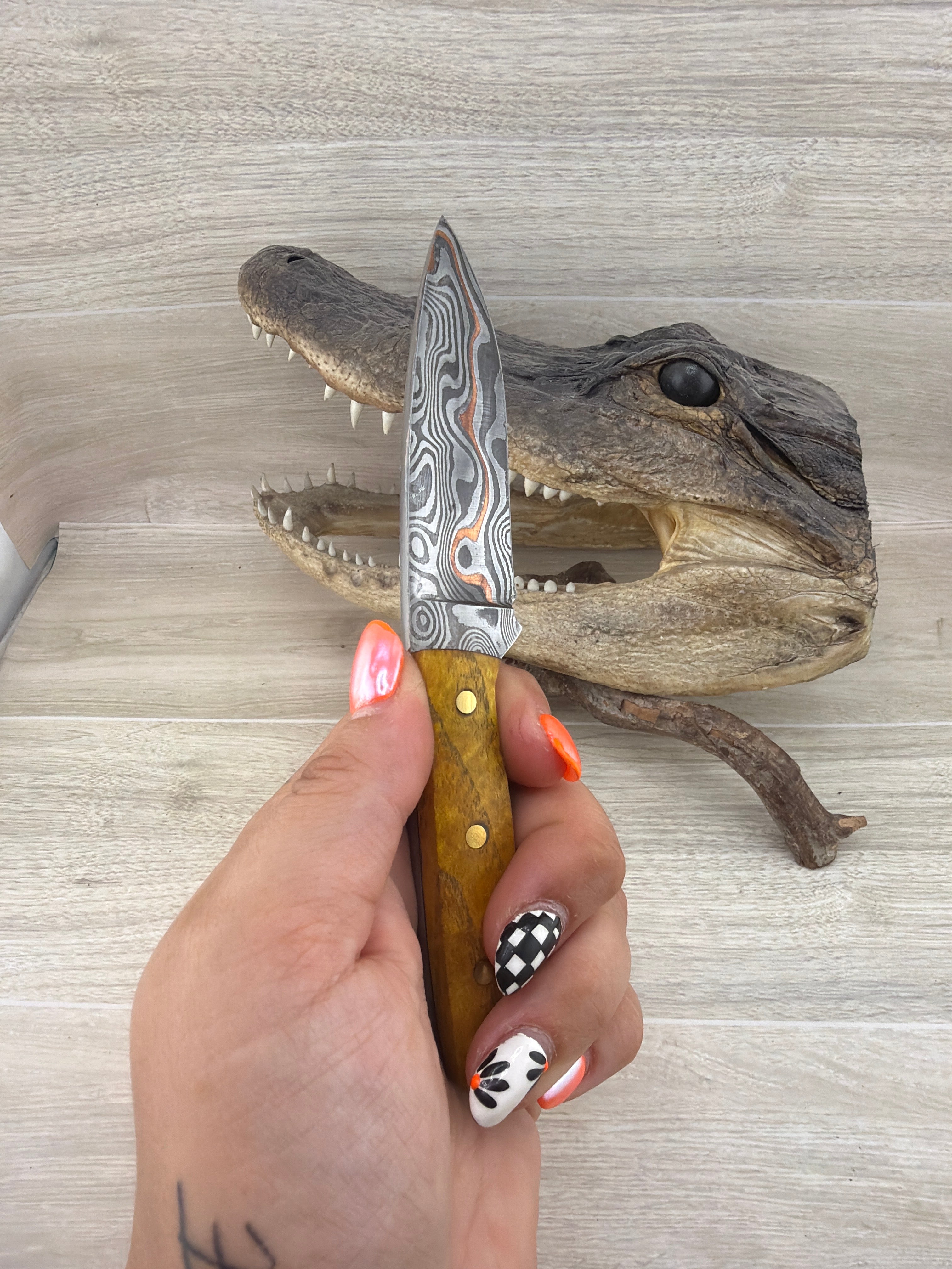 Tribestone – Osage Orange