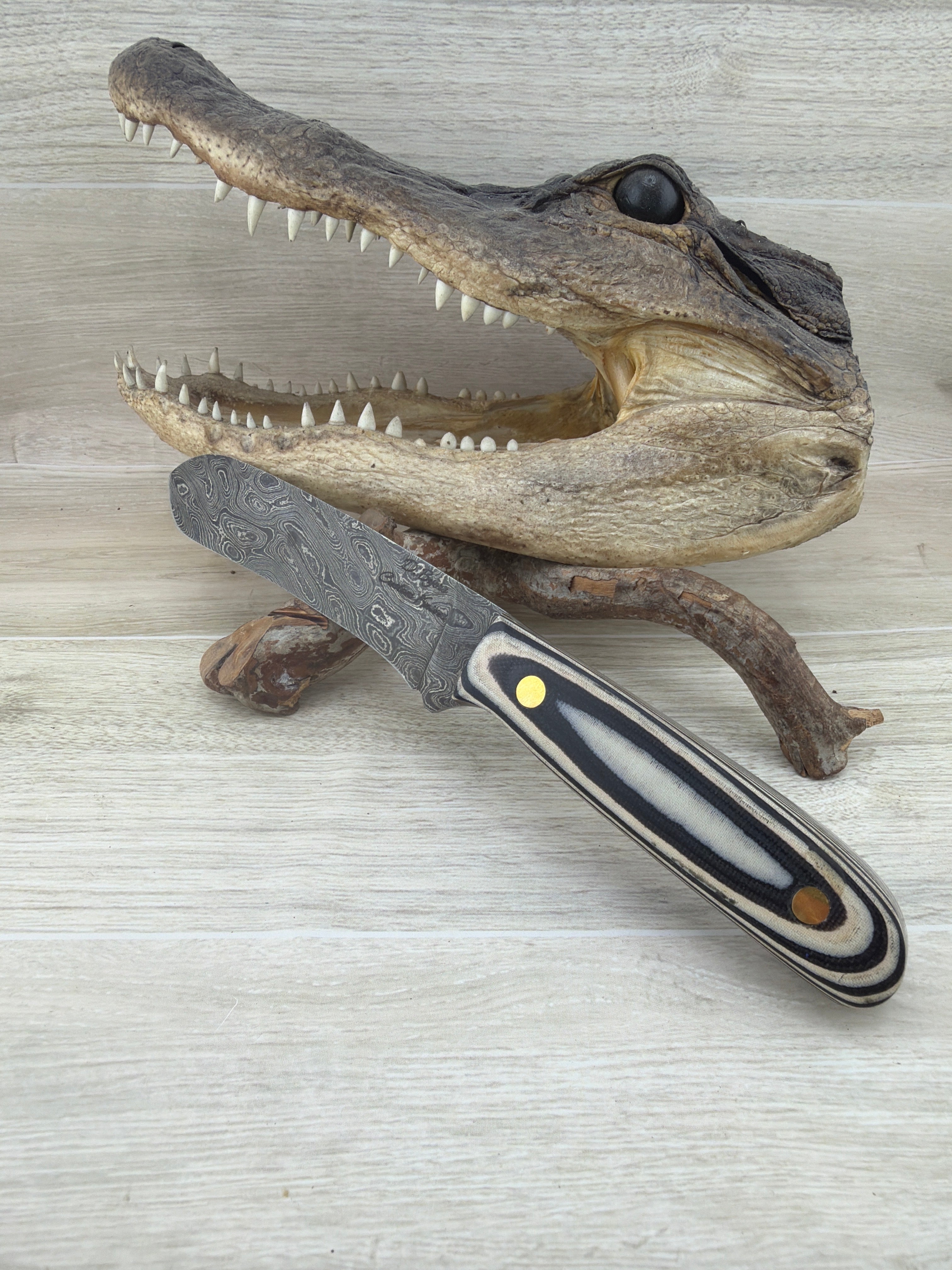 Bull Cutter