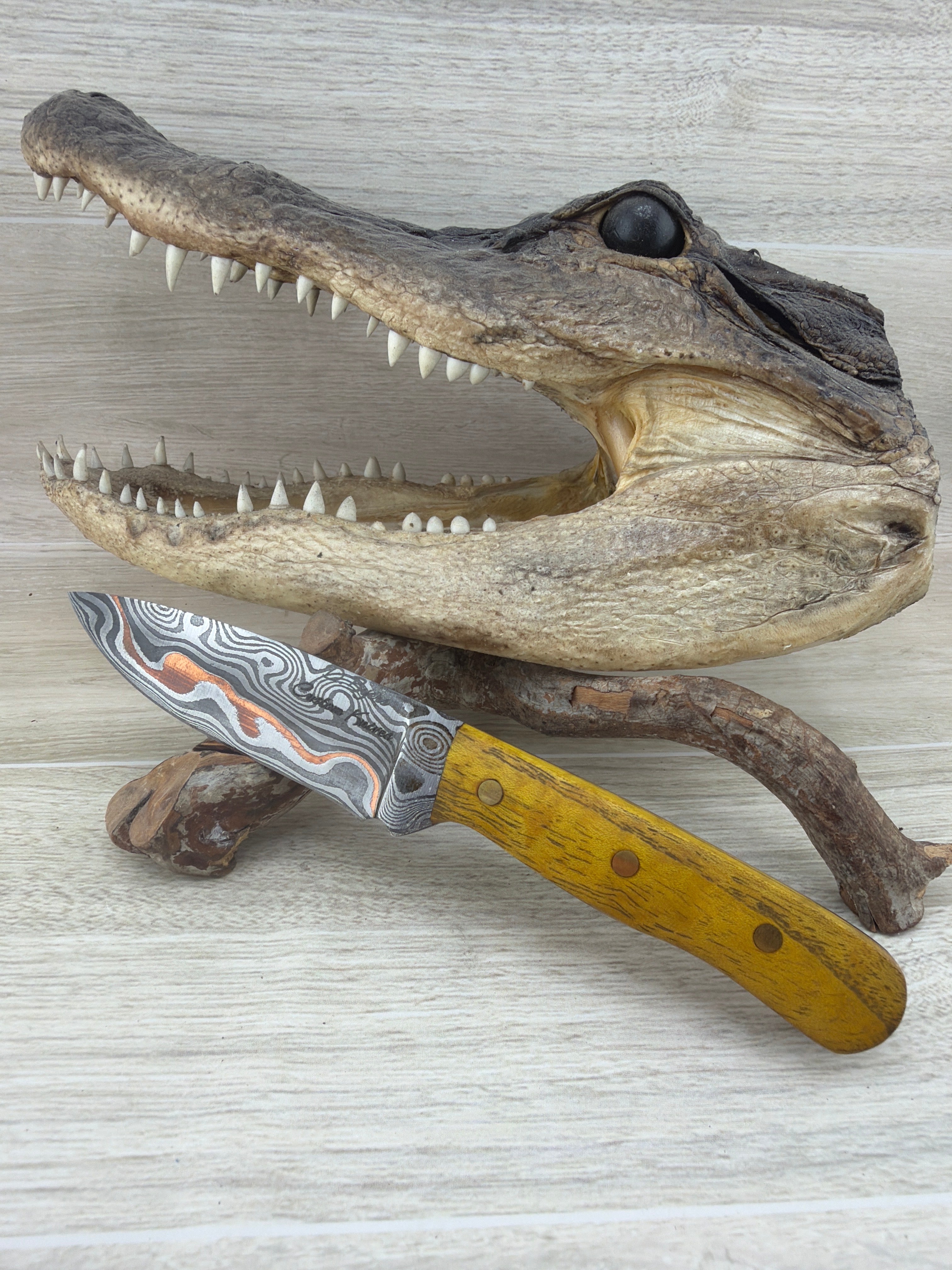 Tribestone – Osage Orange