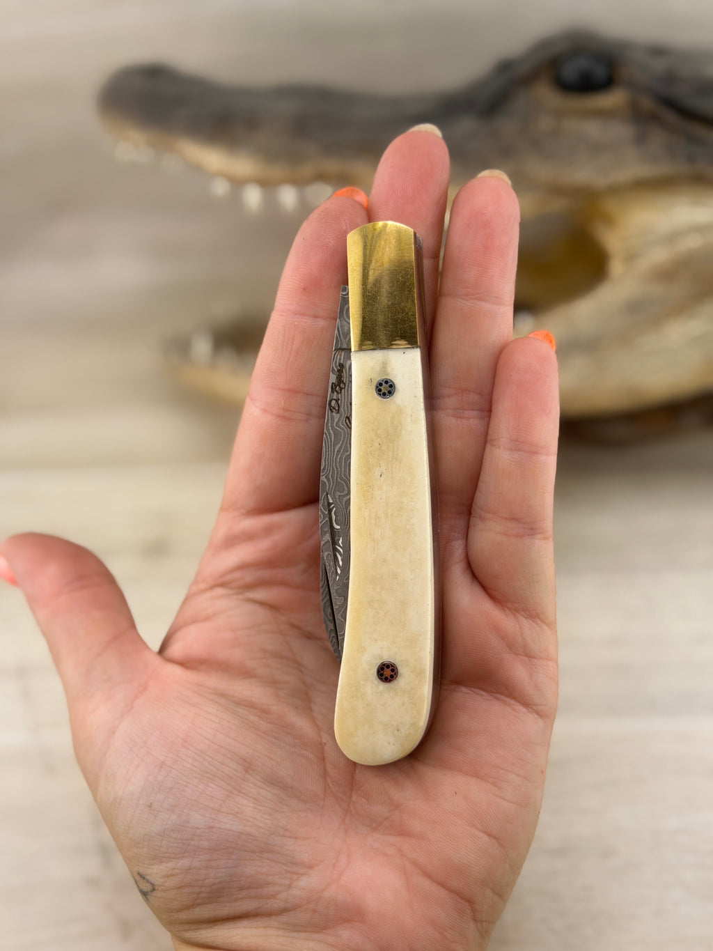 San Mi Damascus Trapper – Natural Camel Bone