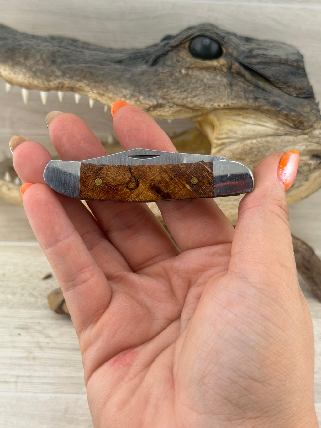 Peanut Pocket Knife – Maple Burl
