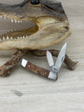 Peanut Pocket Knife – Maple Burl