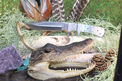 DIY Clip Point Hunting Knife Making Kit: 440C Blade, Bone/Horn Handle