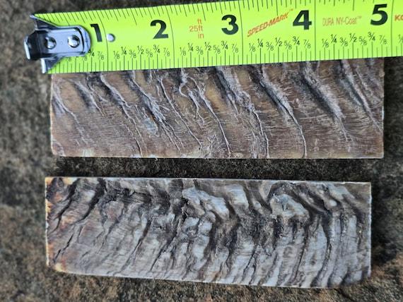 Ram Horn Knife Handle Scales | 3 Matched Pairs, Natural Grip, Maker’s Bundle