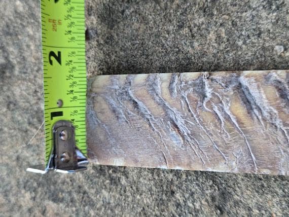 Ram Horn Knife Handle Scales | 3 Matched Pairs, Natural Grip, Maker’s Bundle