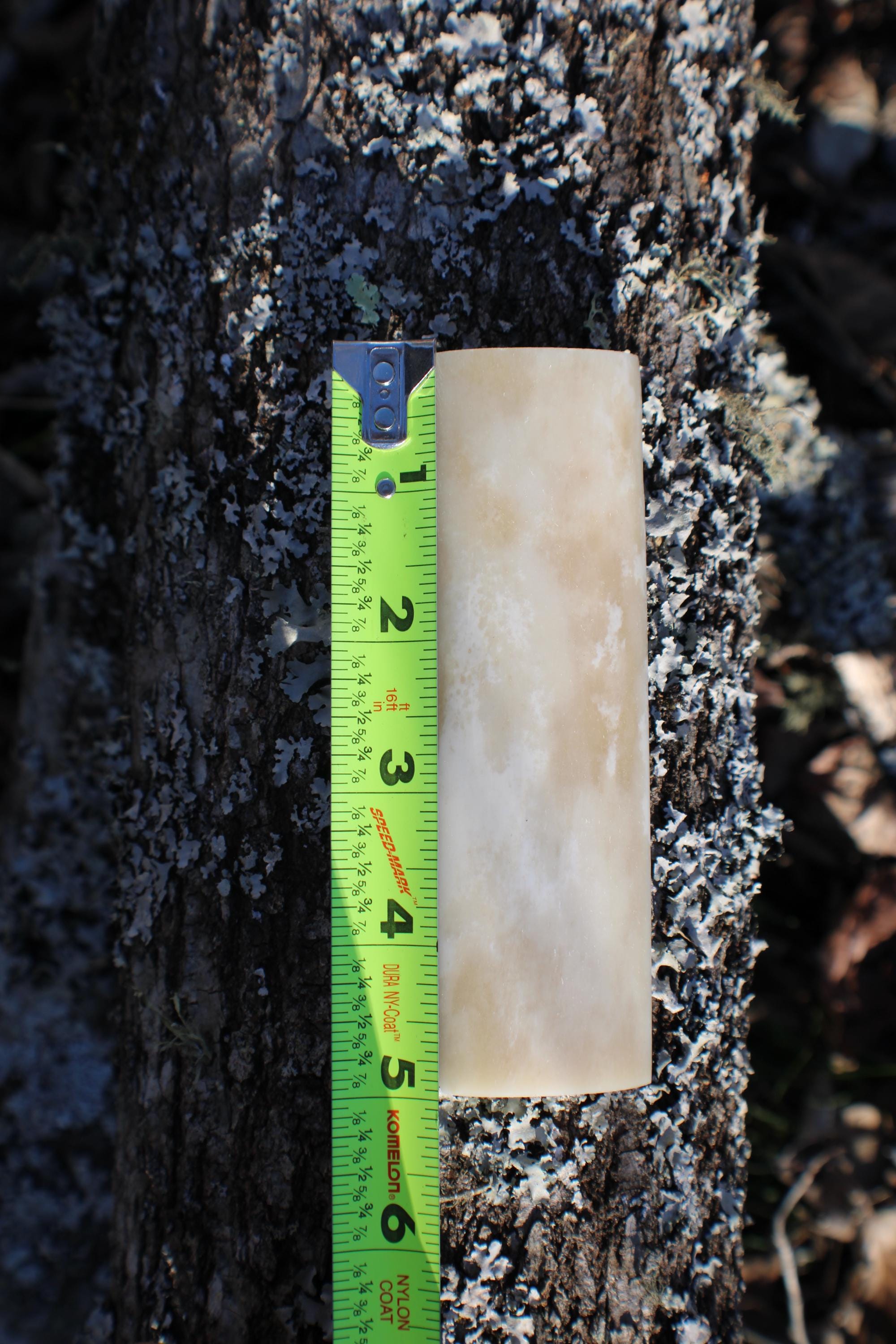 Natural Camel Bone Knife Scales  Organic Cream Handle Material (5" x 1.5" x 1/4")