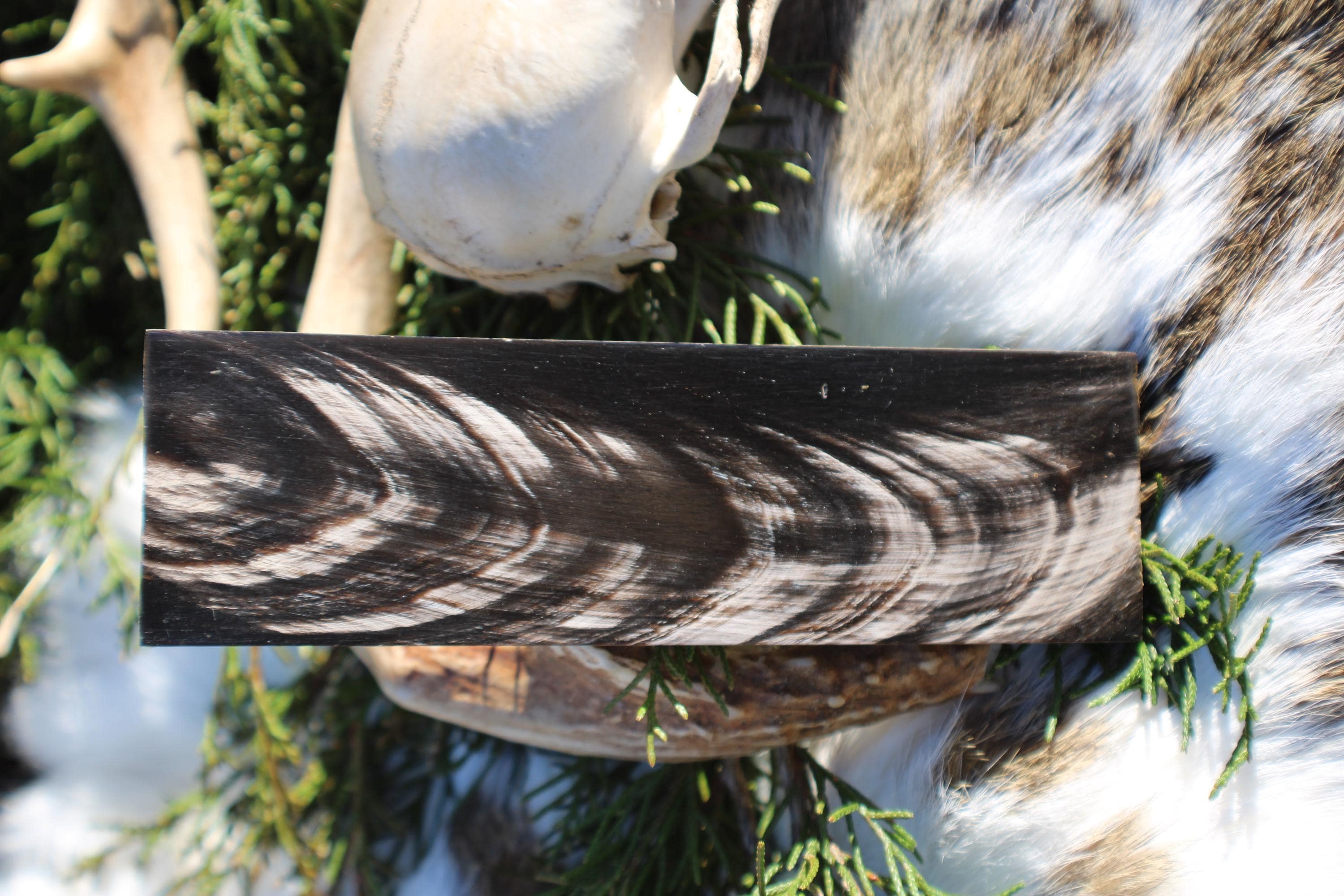 Striped Black Buffalo Horn Knife Scales  High-Contrast Handle Material 1.5 x 5 x 1/4