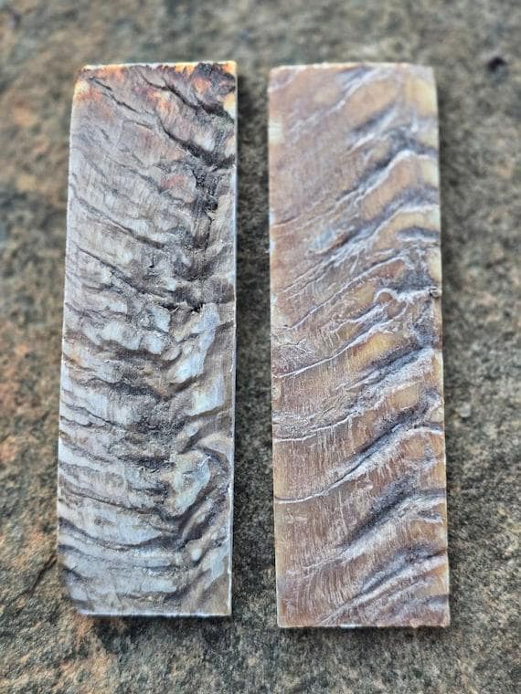 Ram Horn Knife Handle Scales | 3 Matched Pairs, Natural Grip, Maker’s Bundle