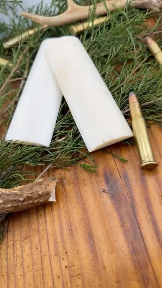 Bleached White Camel Bone Knife Scales - 5" x 1.5" x 1/4" Pair - Ultra Bright Handle Material - For Scrimshaw - Stormwind Knife Supply