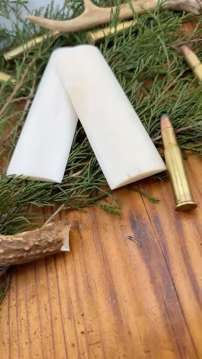 Bleached White Camel Bone Knife Scales - 5" x 1.5" x 1/4" Pair - Ultra Bright Handle Material - For Scrimshaw - Stormwind Knife Supply