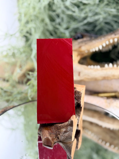 Coral Red stone Knife Handle Inlay Pair: Artisan Knife Scale Material
