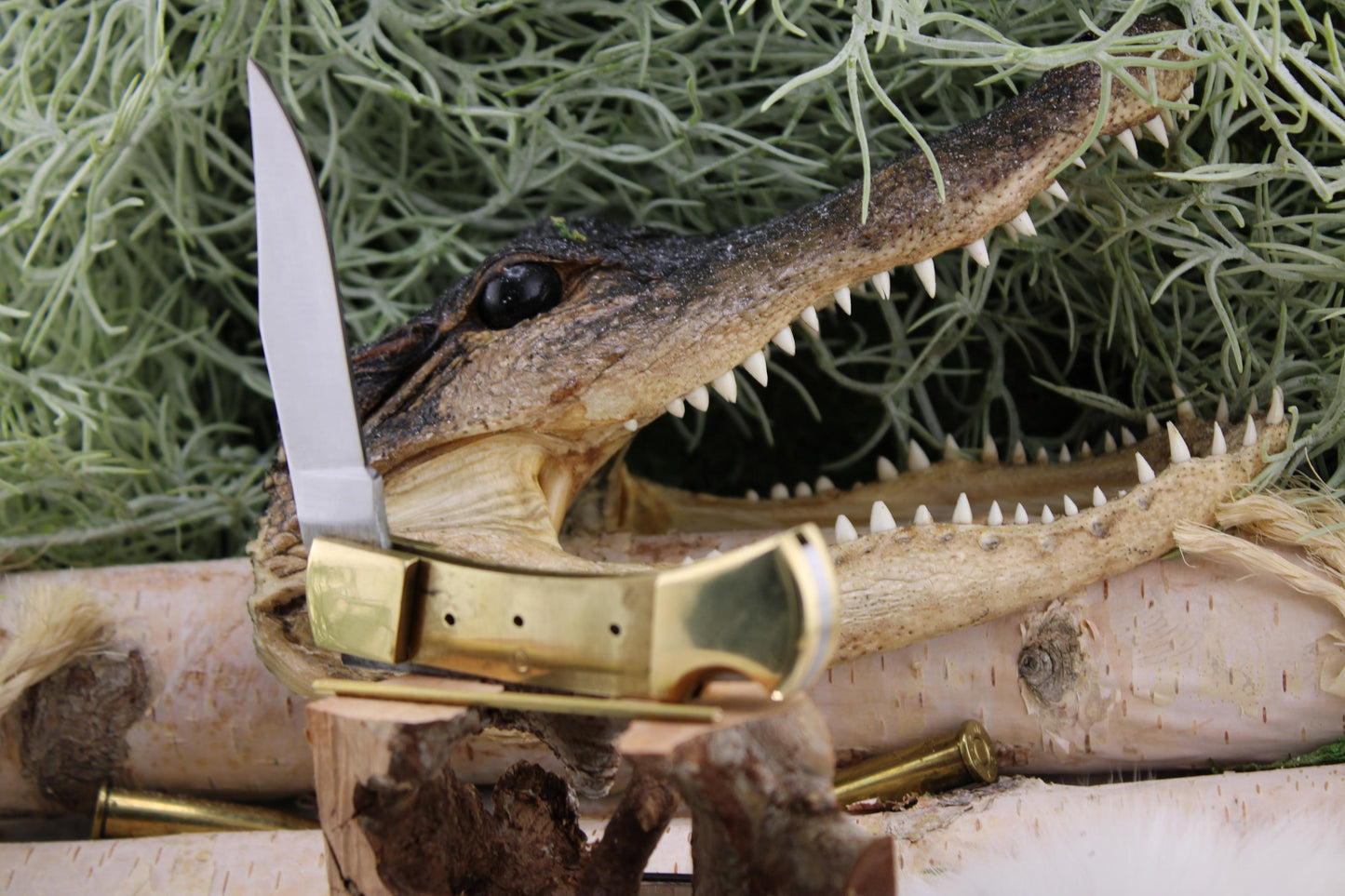 DIY Lock Back Folder Knife Kit27: Japanese Blade, Bleached Camel Bone Scales, Brass Pins