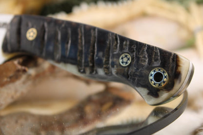 Handmade Red Hand Knives Trailing Point with Black Ram Horn Mosaic Pins and Mosaic Lanyard
