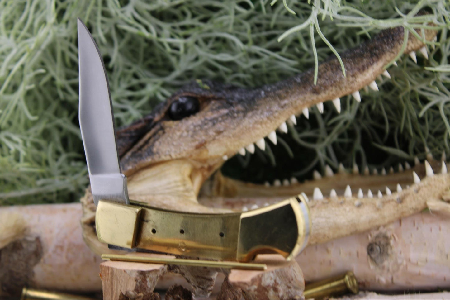 DIY Lock Back Folder Kit29: Japanese 420HC Blade, Bleached Camel Bone Scales, Brass Pins
