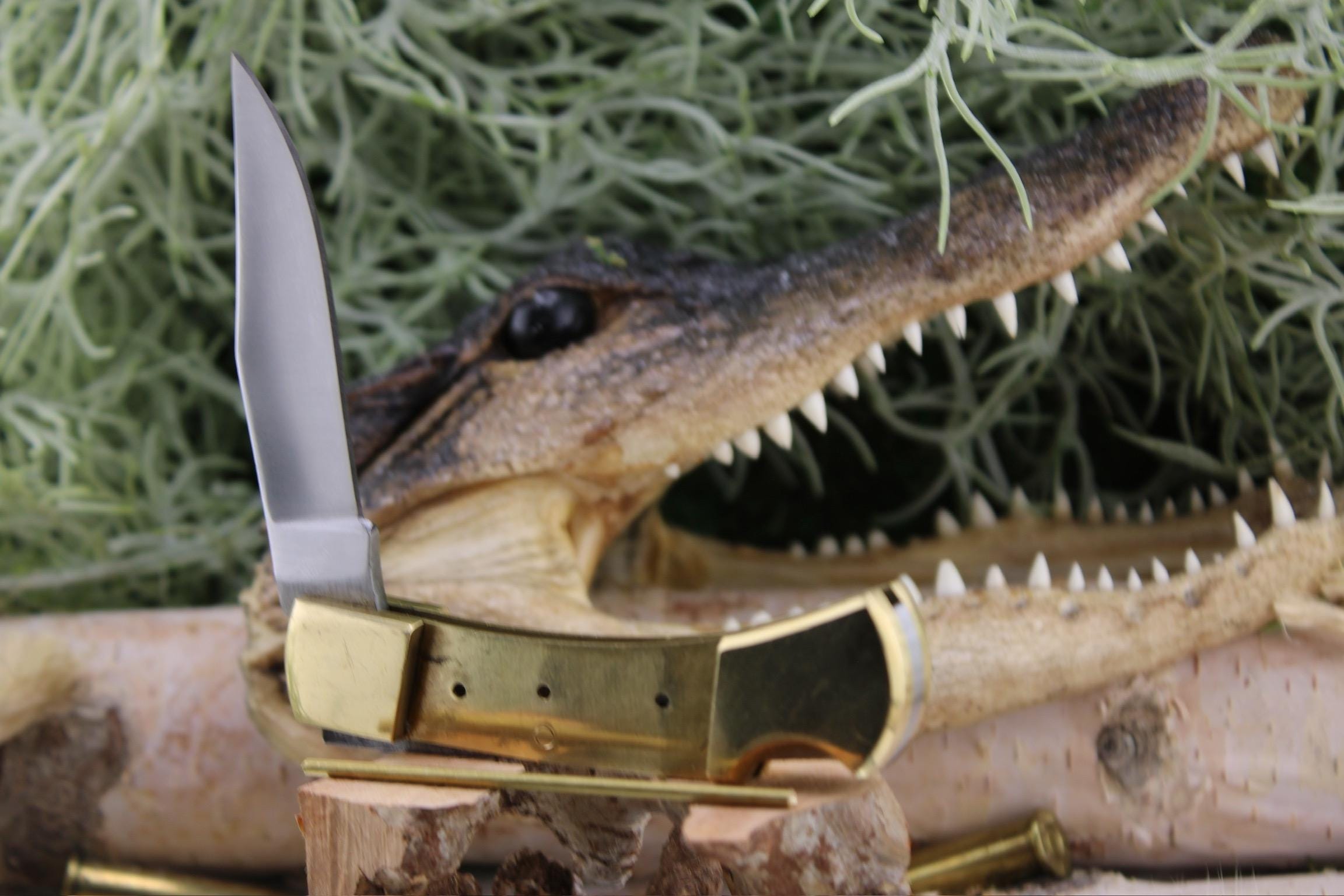 DIY Lock Back Folder Kit29: Japanese 420HC Blade, Bleached Camel Bone Scales, Brass Pins