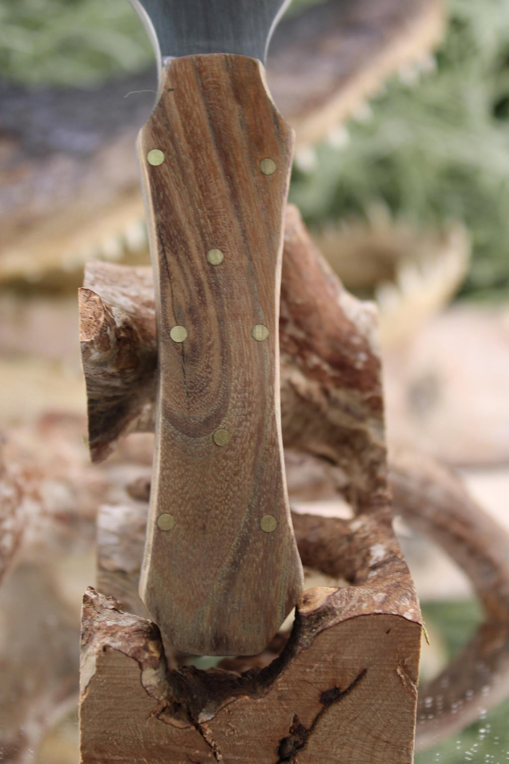 Boot Dagger with Claro Walnut