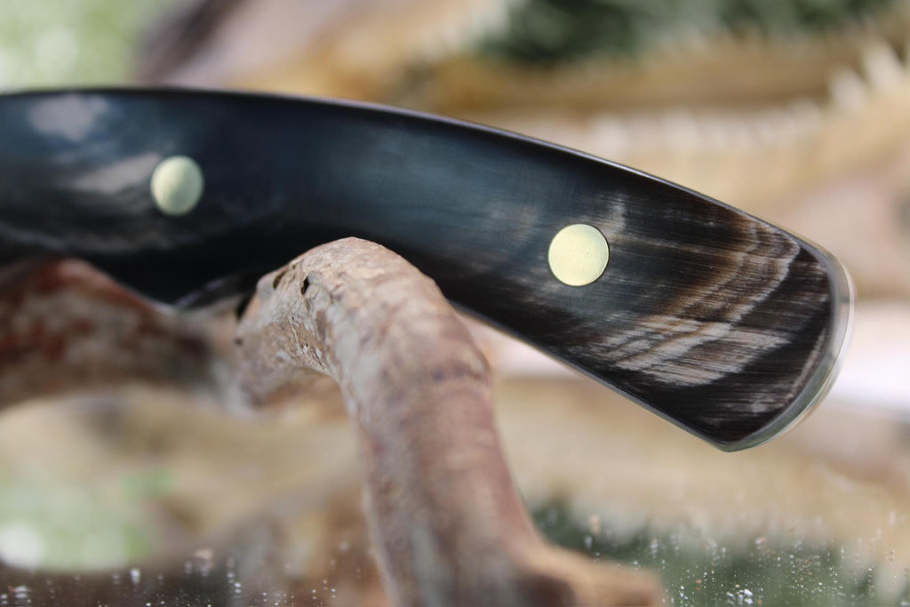Harpoon Hunter with Black & White Buffalo Horn