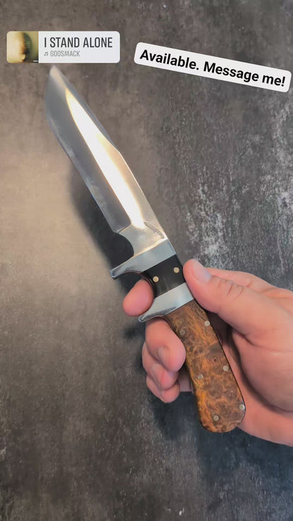 Completed sub hilt fighter with buffalo horn and amboyna burl handle