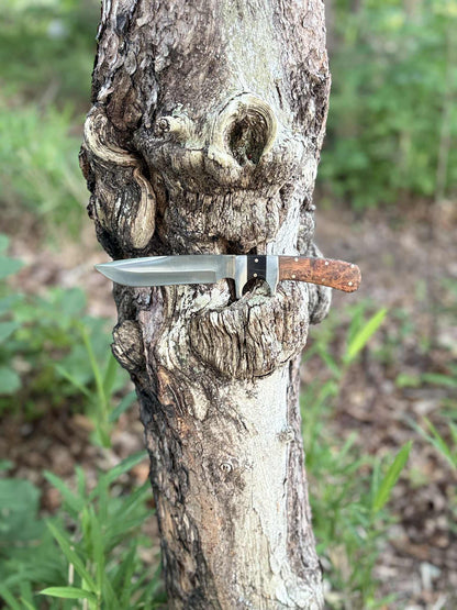 Completed sub hilt fighter with buffalo horn and amboyna burl handle