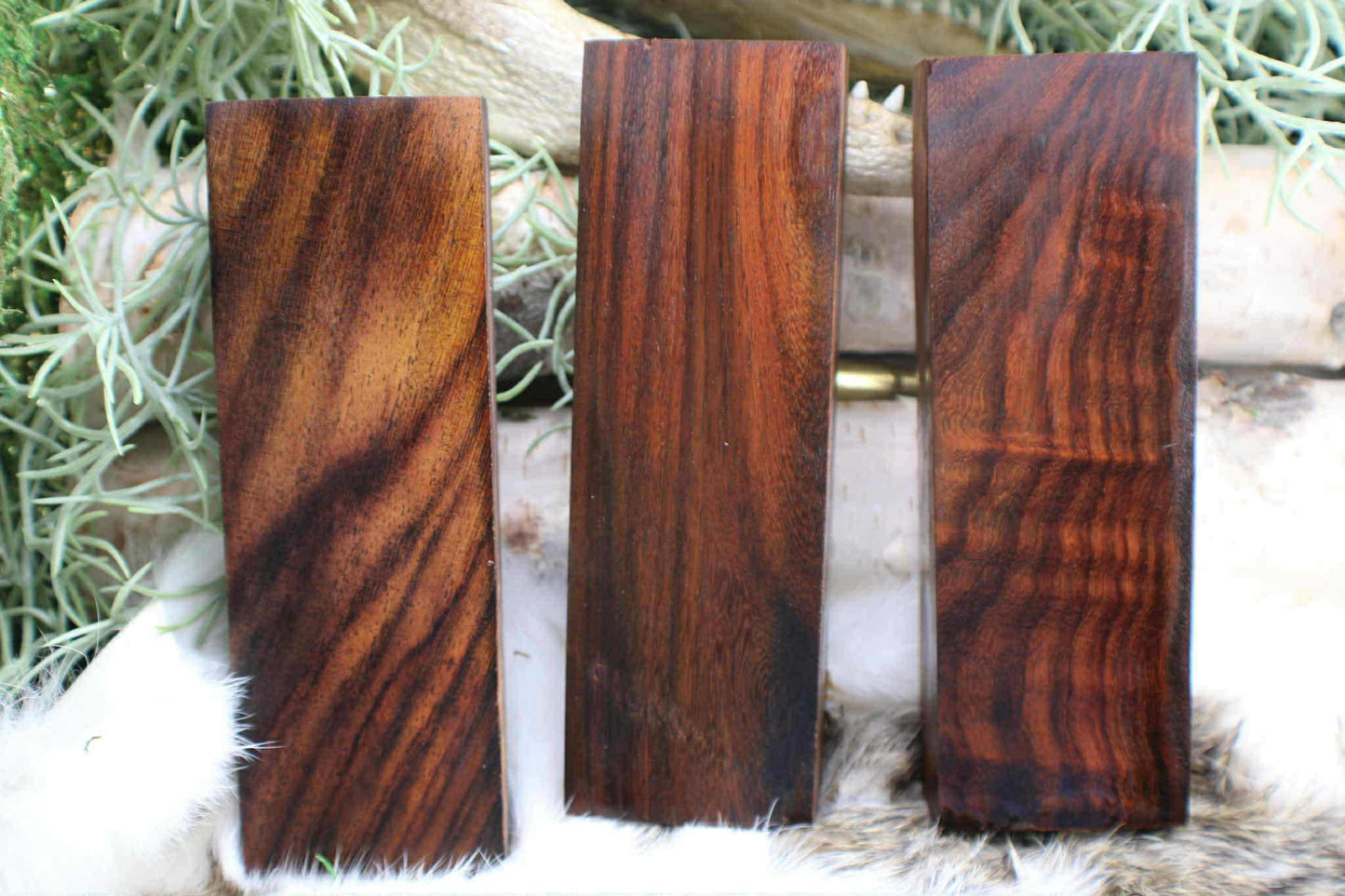 Asian Rosewood Blocks Stabilized