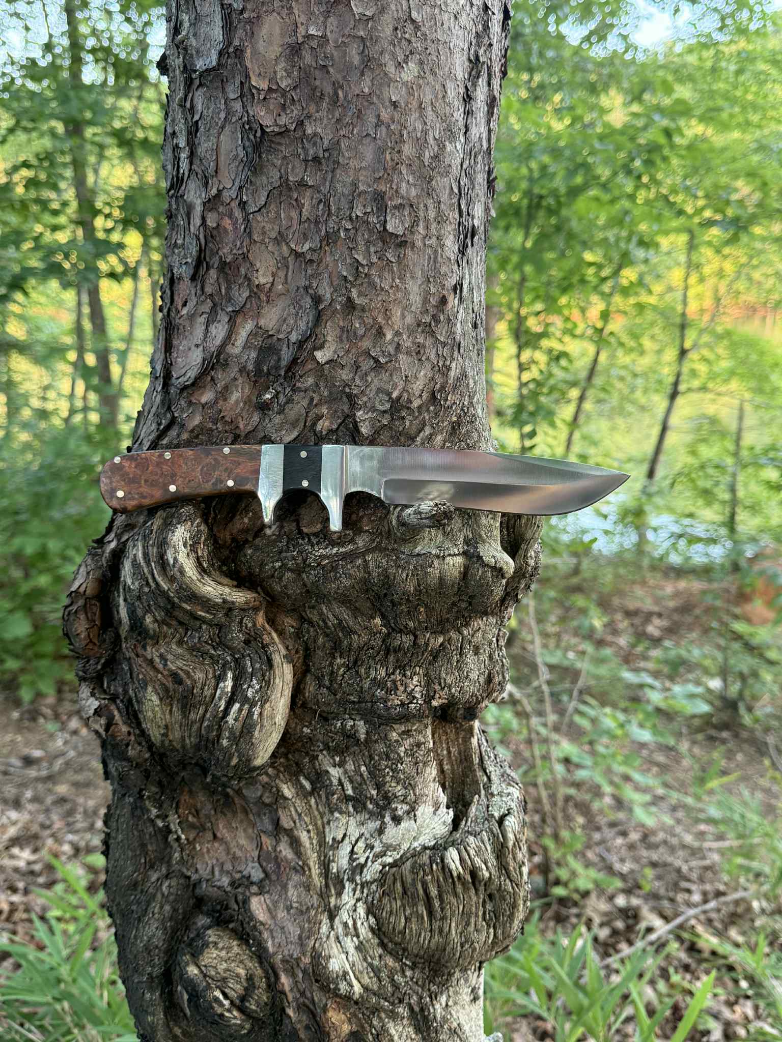 Completed sub hilt fighter with buffalo horn and amboyna burl handle