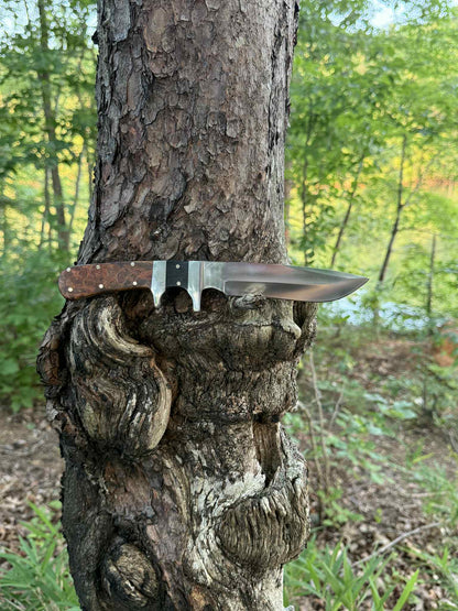 Completed sub hilt fighter with buffalo horn and amboyna burl handle