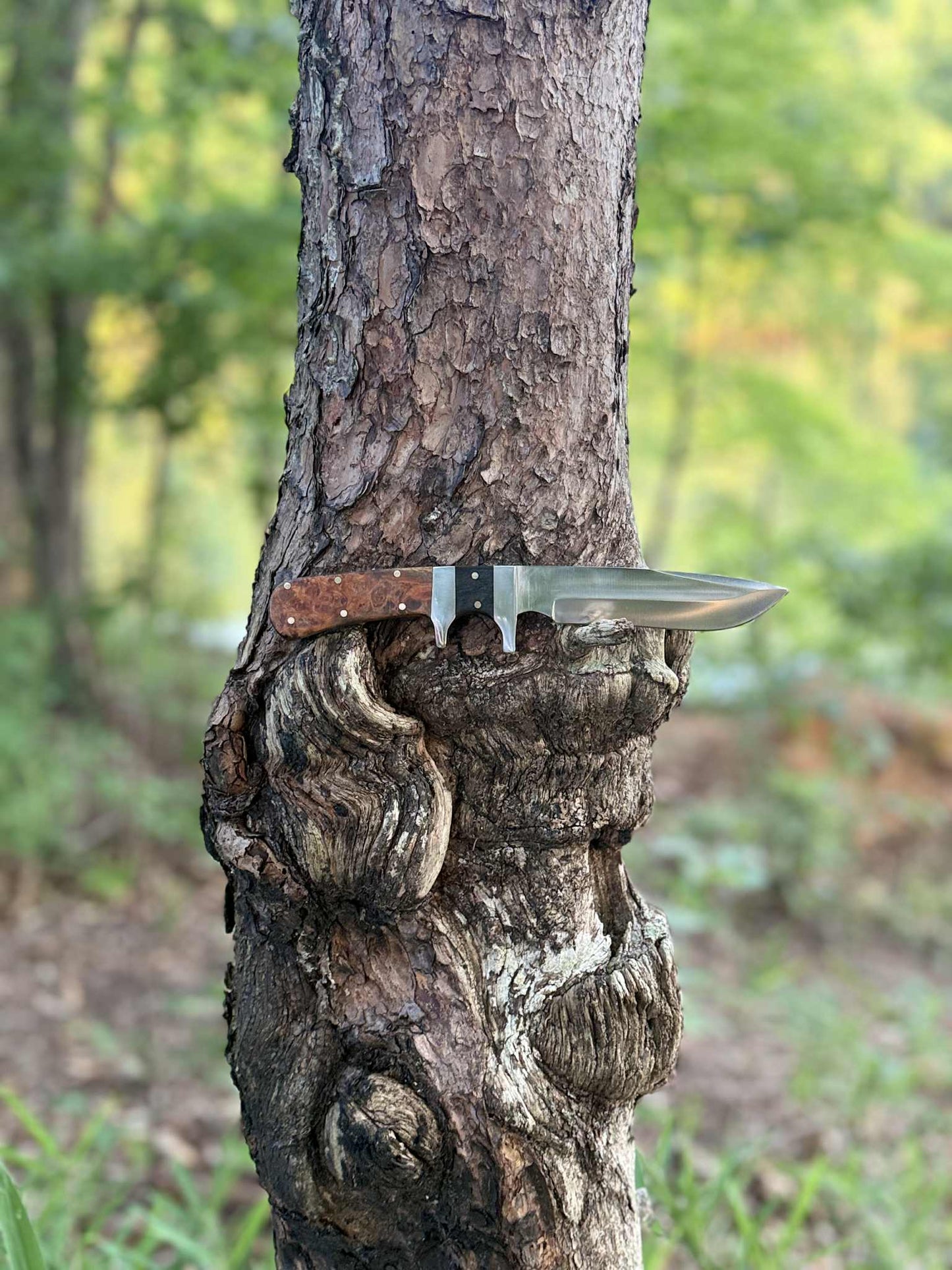 Completed sub hilt fighter with buffalo horn and amboyna burl handle